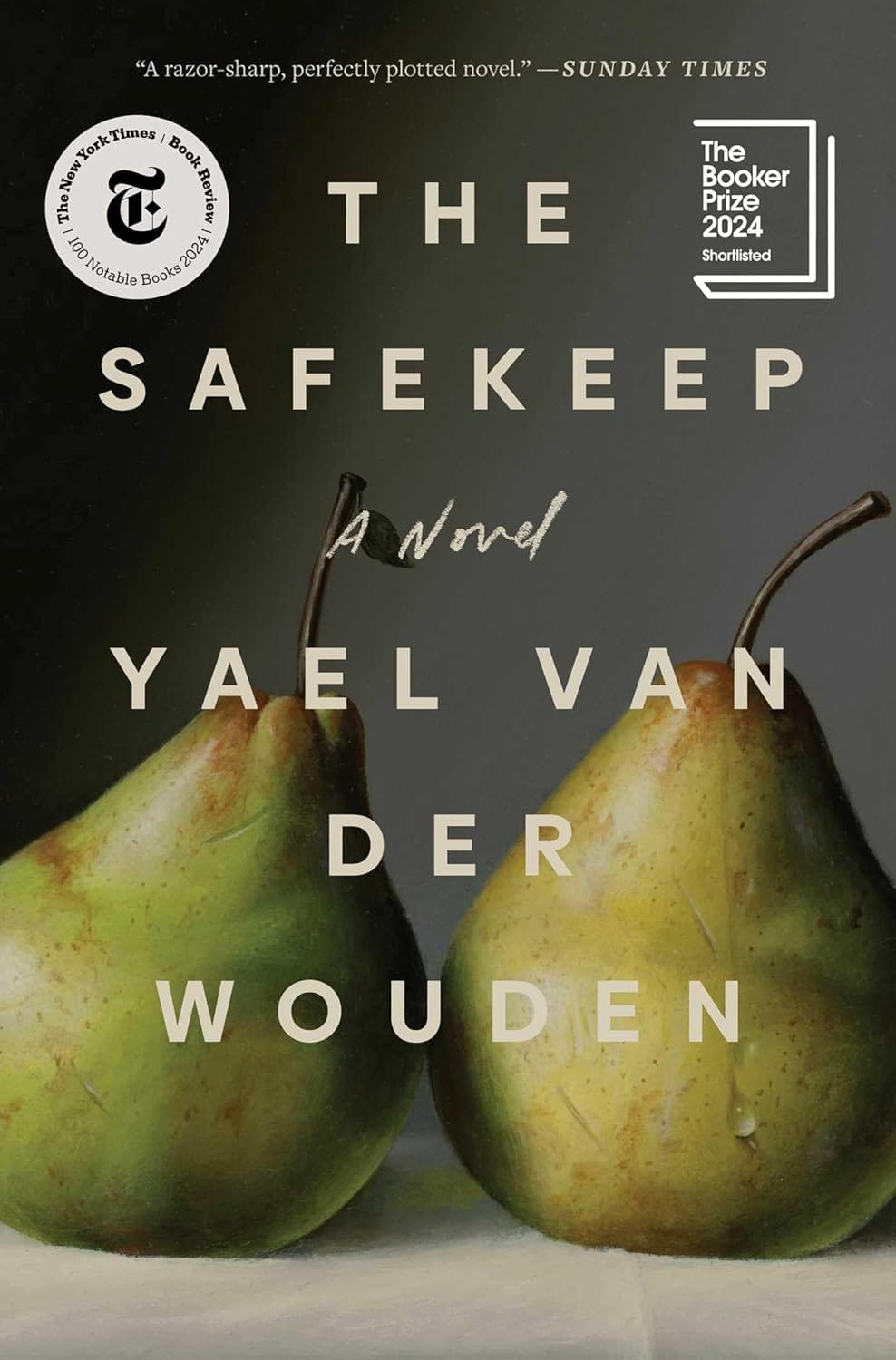Image of: The Safekeep by Yael van der Wouden